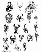 Tribal Scorpio Zodiac sketch template