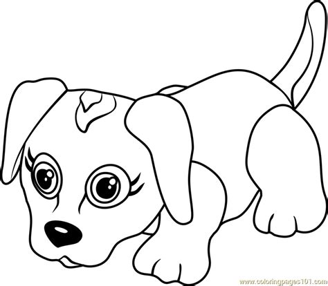 beagle coloring page  kids  pet parade printable coloring
