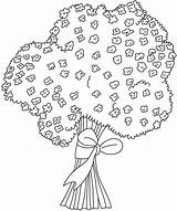 Gypsophila Flower Coloring sketch template