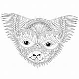 Koala Zentangle Coloring Vector Stress Anti Friendly Face Adult Happy Doodle Drawn Hand Bear Style Book Illustration Stock Branch Adults sketch template