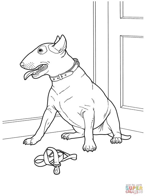 bull terrier coloring pages