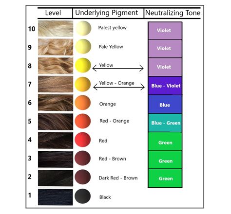 formulating  toner hair colour  hairstylists level