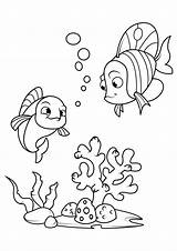 Colorare Mare Pesce Amico Scarica Disegni sketch template