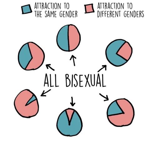 I’ve Never Seen A More Perfect Pie Chart Bisexual