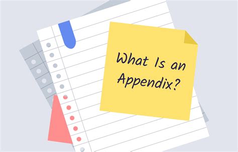 full guide  writing  appendix structure format examples