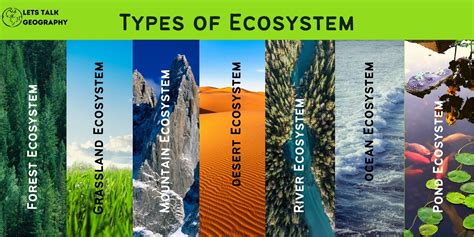 examples  ecosystems