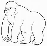 Gorilla Coloring Pages Animals Kids Cute Color Getcolorings Printable Giant Getdrawings sketch template