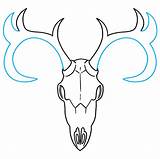 Deer Skull Step Draw Drawing Easy sketch template