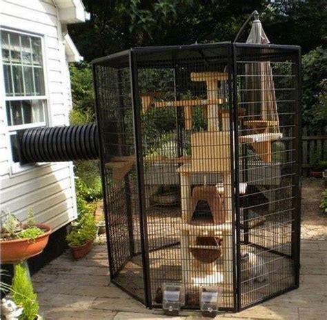 1000 Ideas About Outdoor Cat Enclosure On Pinterest Cat