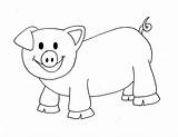 Printable Pigs Yofreesamples Getcoloringpages sketch template