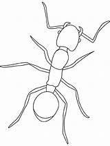 Fourmi Dessin Ant Ants Hormigas Coloriage Formica Insectos Cigale Robaki Insect Kolorowanki Insects Fourmis Owady Colorier Kleurplaat Insekten Mier Dzieci sketch template