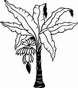 Banana Tree Template Coloring Colouring Pages Leaf sketch template