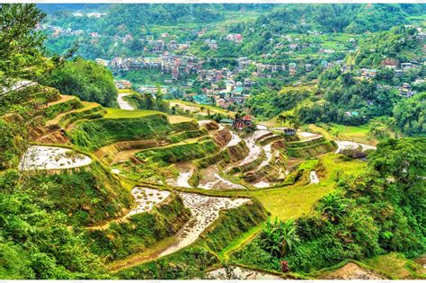 Banaue Rice Terraces Northern Featuring Rice Terrace And Philippines