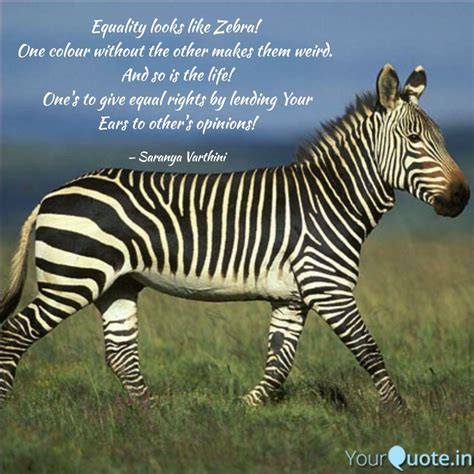 23 inspirational quotes about zebras richi quote
