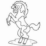 Horse Pinto Coloring Printable Horses sketch template