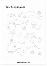 Animals Coloring Sea Miscellaneous Pages Water Animal Sheets Sheet Megaworkbook Birds sketch template