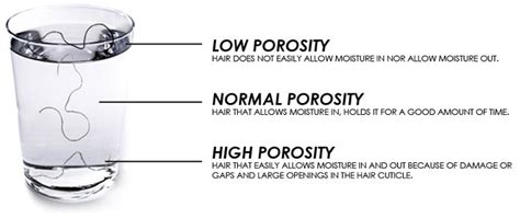 porosity hair  products  styling tips shampoo truth