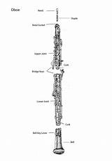 Oboe Drawings Parts Music Drawing Search Yahoo Oboes Orchestra Instruments Musical Youth Orchestras Results Alabama Metropolitan Central School Bassoon Visit sketch template