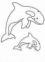 Coloring Whale Killer Pages Orca Printable Print Color Awesome Kids Sperm Kidsplaycolor Drawing Whales Cute Getcolorings Library Clipart Getdrawings Visit sketch template