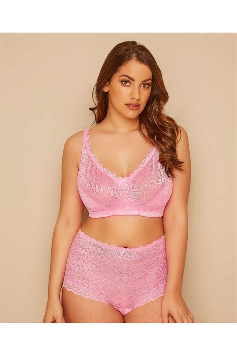bubblegum pink shine lace shorts plus size 14 to 32