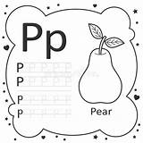 Tracing Pear sketch template