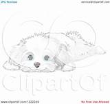 Bichon Maltese Dog Frise Puppy Cute Illustration Clipart Resting Coloring Royalty Pages Pushkin Vector sketch template