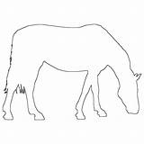 Horse Grazing Outline Horses Coloring sketch template