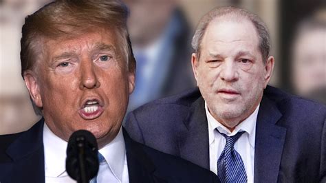 trump says he was never a fan of harvey weinstein