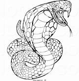 Snake Snakes Mamba Reptiles sketch template