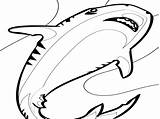 Shark Coloring Cartoon Pages Strong Getcolorings sketch template