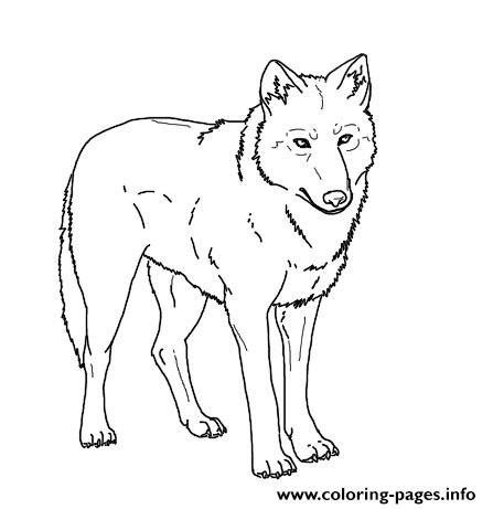 realistic wolf   print coloring pages printable