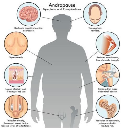 andropause 101 causes symptoms and treatments gilmore health news