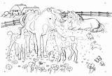 Pferde Ausmalbilder Horse Coloring Pages Schleich Kinder Schöne Horses Unicorn Tiere Malvorlagen Für Template Printables sketch template