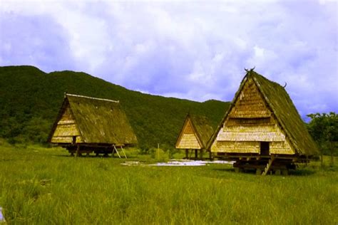 rumah adat sulawesi tengah pariwisata indonesia