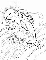 Coloring Pages Dolphin Dolphins Adult Colouring Book Designs Books Dream Sheets Dover Animal Color Doverpublications Drawing Drawings Kids Publications Welcome sketch template