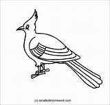 Bulbul Outline Bird Clipart Drawing Coloring Colouring Cliparts Pages Clip Clipground Popular Library Getdrawings Coloringhome sketch template