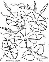Glory Morning Coloring Embroidery Flower Flowers Drawings Pages Drawing Pattern Convolvulaceae Glories Clipart Line Simple Color Outline Embroidered Patrone Borduur sketch template