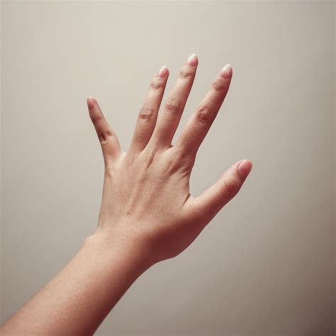 images hand photography leg finger palm arm nail close  human body skin thumb