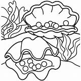 Clam Colouring Clip Coloring sketch template