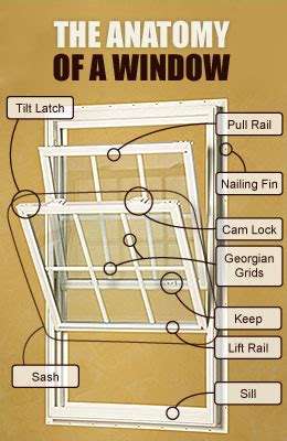 anatomy   vinyl window diamond windows doors