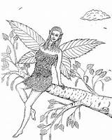 Birch Fairies sketch template
