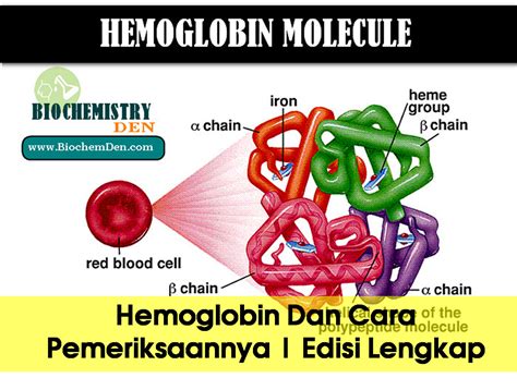 hemoglobin   pemeriksaannya edisi lengkap seri edukasi