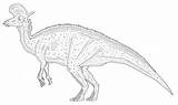 Lambeosaurus Deviantart sketch template