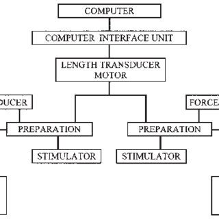 block diagram   setup  scientific diagram