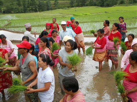 asar  rice plantation festival  nepal travel  tours  nepal  treks booking