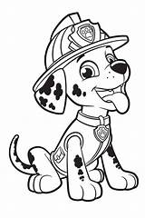 Paw Marshall Coloring sketch template