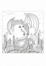 Monster Coloring Adults Dragons Dragon Pages Trust Do sketch template