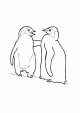 Kaiserpinguin Pinguine Ausmalbild Pinguin Ausmalen Kostenlose Klicke Auszudrucken Dein sketch template