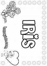 Iris Coloring Pages Color Roses Print Getcolorings Names Printable Hellokids sketch template