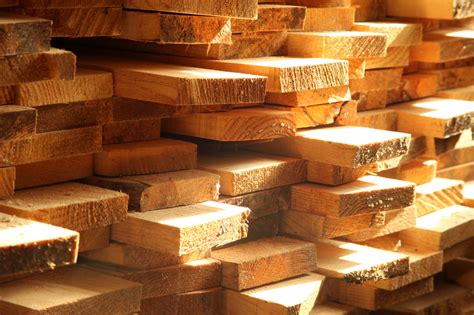 process  obtaining lumber  construction  trees blog